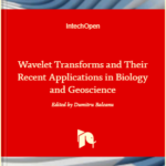 2-D Discrete Wavelet Transform for Hand Palm Texture Biometric Identification and Verification